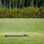 12 sposobów na oszczędzanie wody w ogrodzie